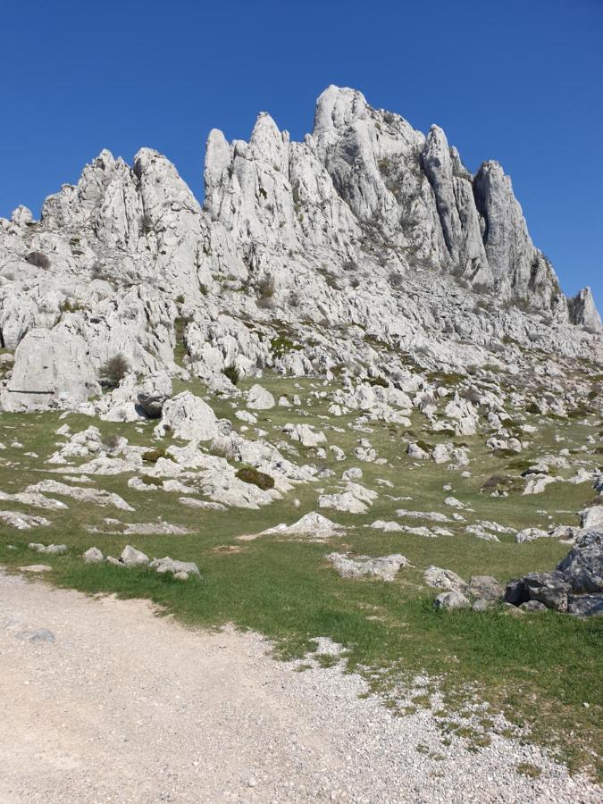 Apartmani Rudi Anić Dış mekan fotoğraf