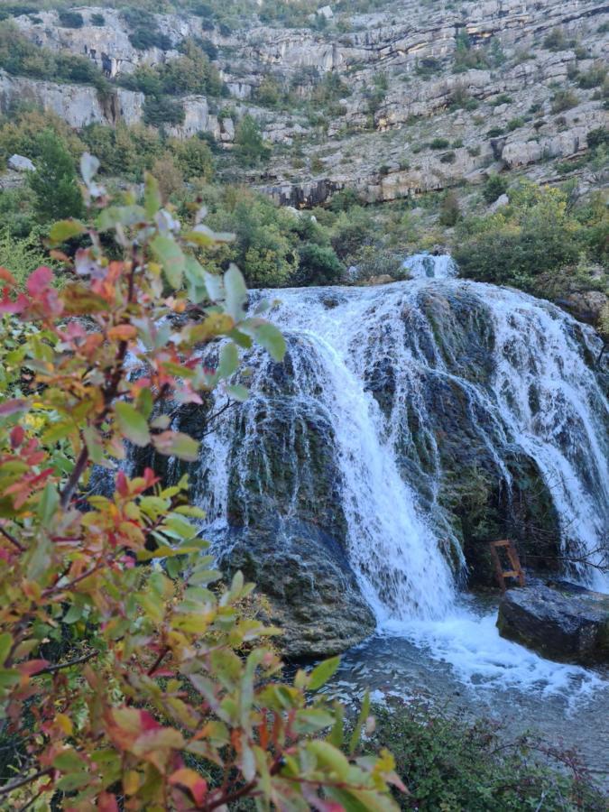 Apartmani Rudi Anić Dış mekan fotoğraf