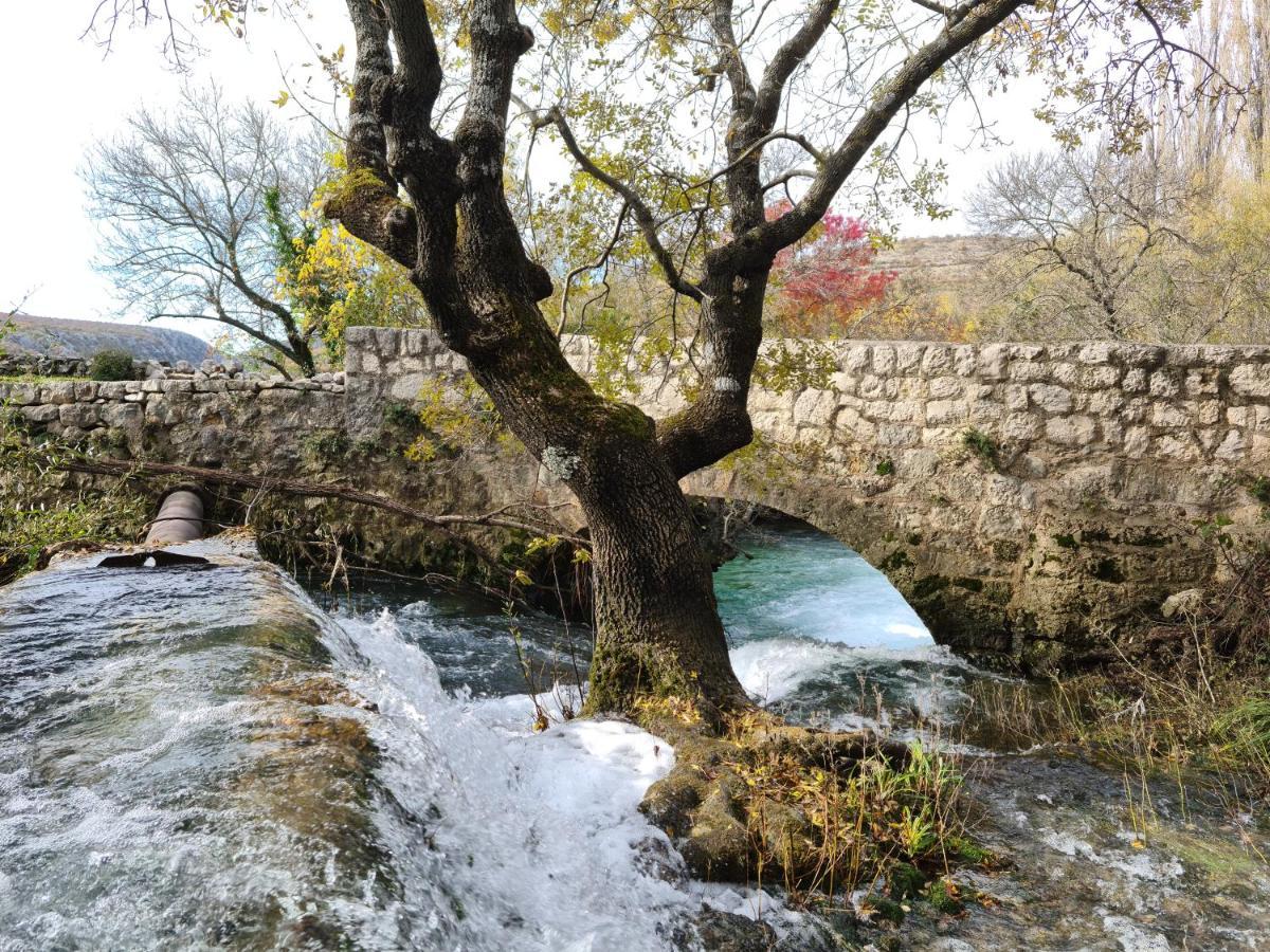 Apartmani Rudi Anić Dış mekan fotoğraf