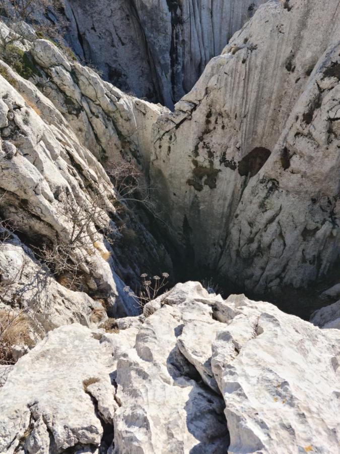 Apartmani Rudi Anić Dış mekan fotoğraf